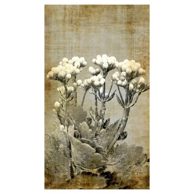 Sumit Mehndiratta, Vintage Jasmine, 2021, Archival Ink Print on Canvas For Sale