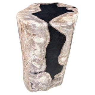 Andrianna Shamaris Abstract High Quality Petrified Wood Side Table For Sale