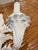 Vintage Palm Beach Pair of Parrot Bird Wall Light Sconces Newly Wired For Sale - Image 9 of 12