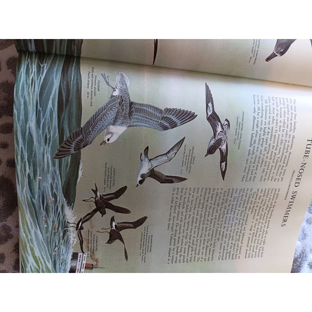 1960s Stack Large Reference/ Coffee Table Books- Set of 3 For Sale - Image 12 of 12