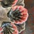 French Vintage French Majolica Oyster Plate For Sale - Image 3 of 5
