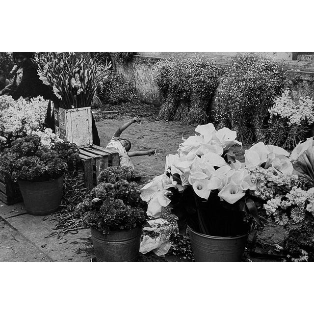 Edouard Boubat, Aromas, Mexico, 1978, Silver Print For Sale - Image 5 of 5