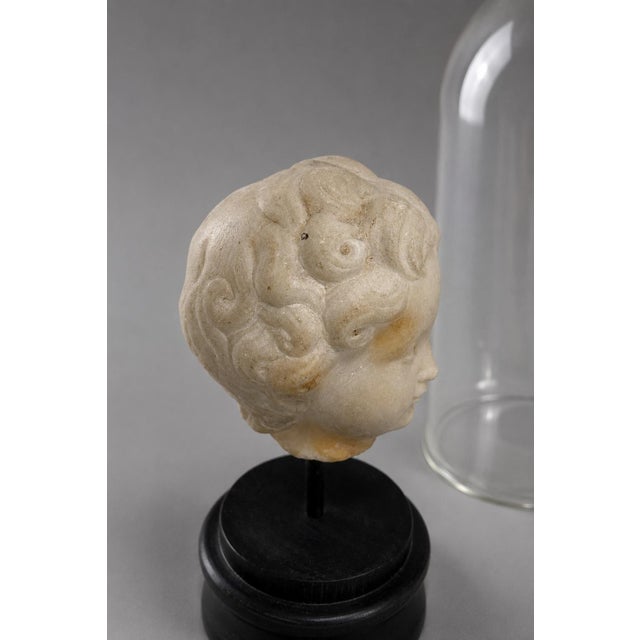 White 18th C or Earlier, Italian Grand Tour Marble Head of a Young Child W/ Cloche For Sale - Image 8 of 10