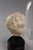 White 18th C or Earlier, Italian Grand Tour Marble Head of a Young Child W/ Cloche For Sale - Image 8 of 10