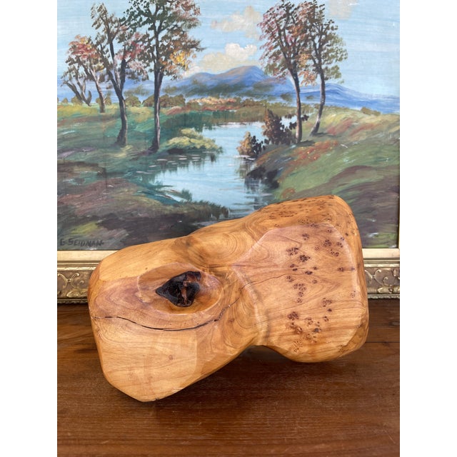 Hand-Carved Live Edge Likely Burl Wood Display Stand or Sculpture Base With Organic Form. For Sale In Seattle - Image 6 of 10
