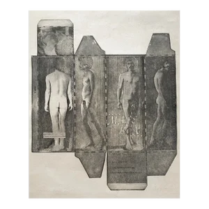 1960s Sue Jester Male Box Nude Etching