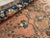 Antique Persian Sarouk Rug - 4' x 6'4" For Sale - Image 12 of 12