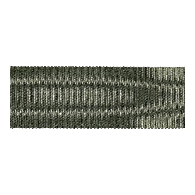 Schumacher Dutchess Tape in Sage For Sale
