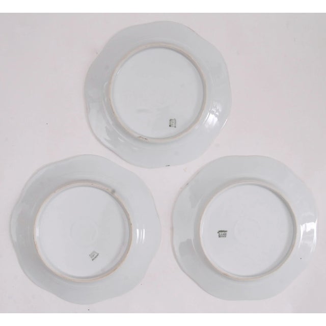 Vintage Bavarian Pheasant Plates, Set of 3 For Sale - Image 6 of 7