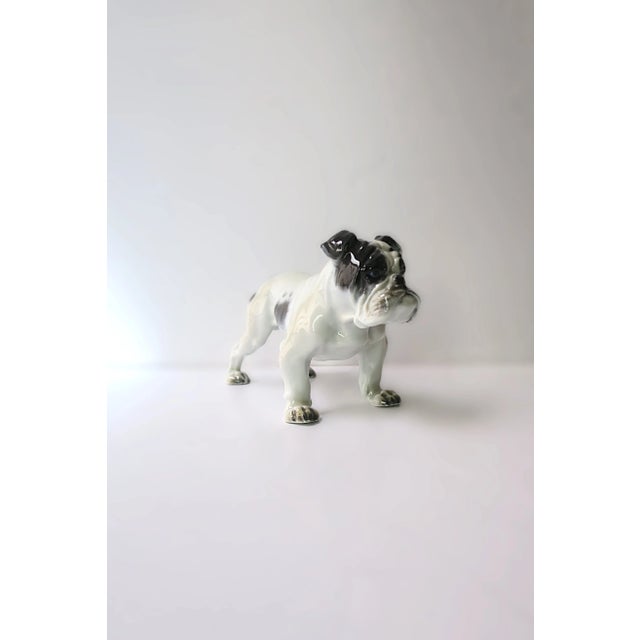 White Bulldog by Fritz Diller For Sale - Image 8 of 12