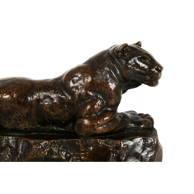 Brown Bronze Sculpture "Panther of Tunisia" After Antoine-Louis Barye, Barbedienne C. 1880 For Sale - Image 8 of 17
