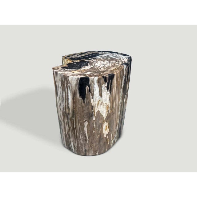 Contemporary Andrianna Shamaris Impressive Ancient Petrified Wood Side Table For Sale - Image 3 of 4