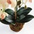 100% realistic a perfect copy of nature. This exquisite soft blush orchid dropin is a nomaintenance work of art. Right...