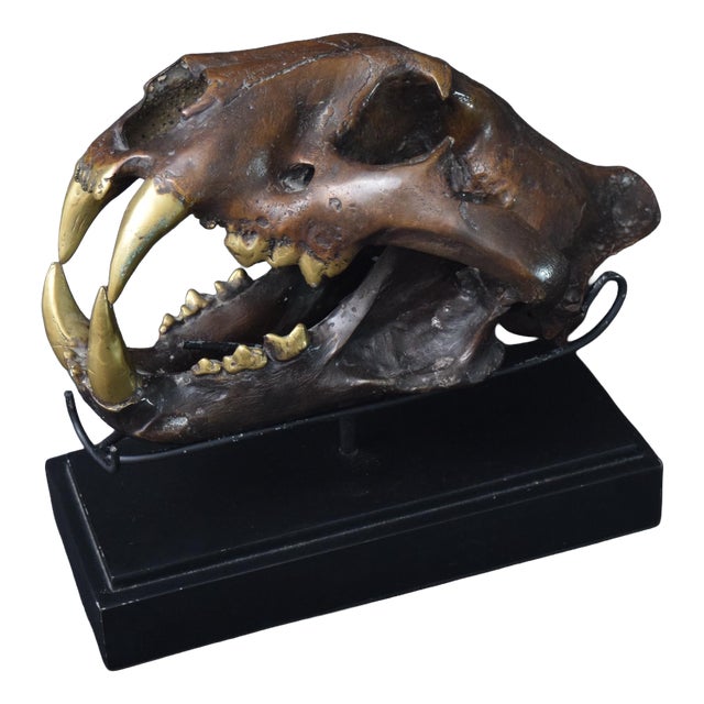 Big Cat Skull Sculpture on Black Display Stand, 1990s For Sale