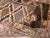 Galerie Shabab Collection Mid-20th Century Turkish Anatolian Wide Gallery Runner For Sale - Image 9 of 10