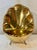 This is a wonderful Solid Brass Hollywood Regency Hand Hammered Shell motif wall pocket /planter. Polished to a high shine...