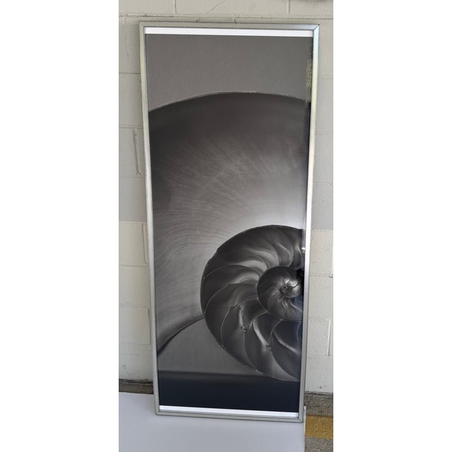 Soicher Marin Soicher Marin Nautilus Set of 3 For Sale - Image 4 of 14