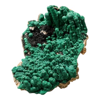Stalactitic Velvet Malachite Specimen by Stillmantle For Sale
