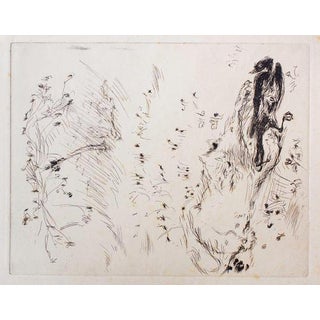 Pierre Bonnard, The Meadow, 1930s, Etching For Sale
