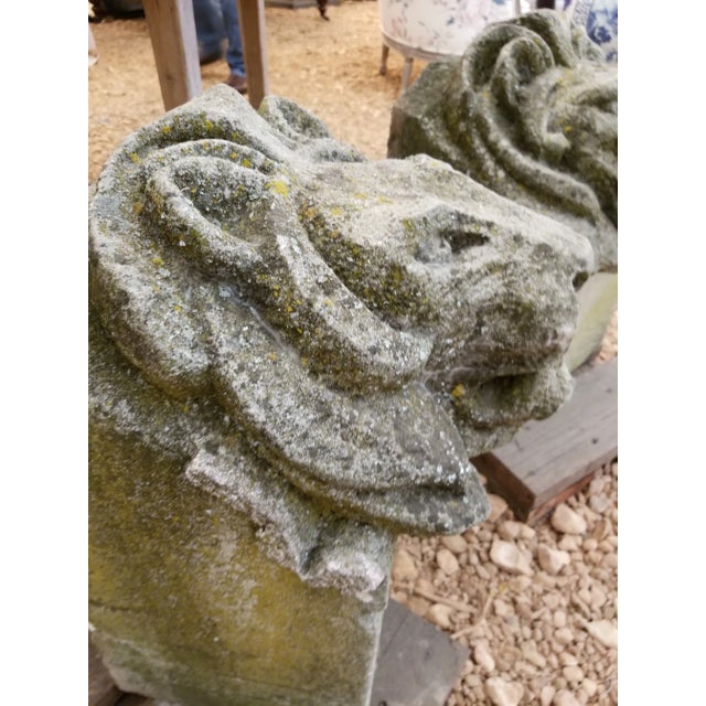 Pair of Antique Carved Granite Lion Heads For Sale In San Antonio - Image 6 of 12