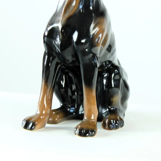 Mid-Century Modern Vintage Doberman Pitcher Statue in Porcelain from Jikohera, Czechoslovakia, 1960s For Sale - Image 3 of 9