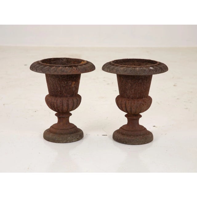 Pair of Cast Iron Urns, French 19th Century For Sale - Image 9 of 13