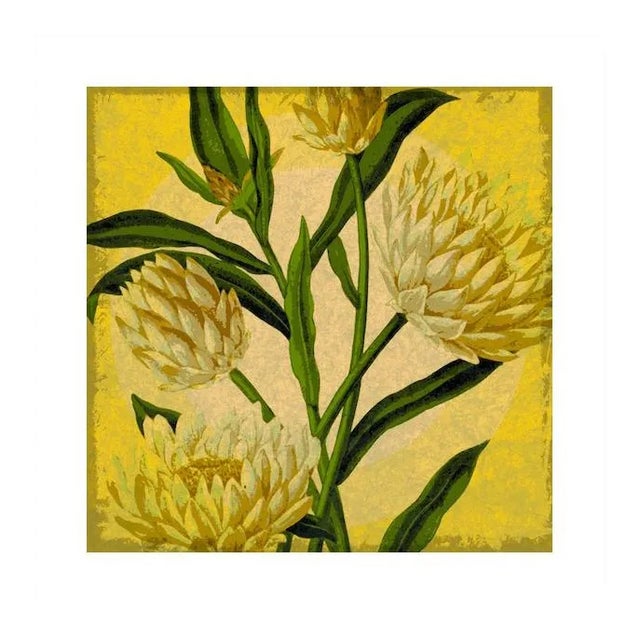 Antique "Yellow Floral" Archival Print For Sale