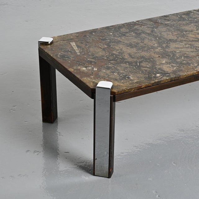 Fossil Stone Coffee Table from Collection Fossile, Switzerland, 1980s For Sale - Image 6 of 9