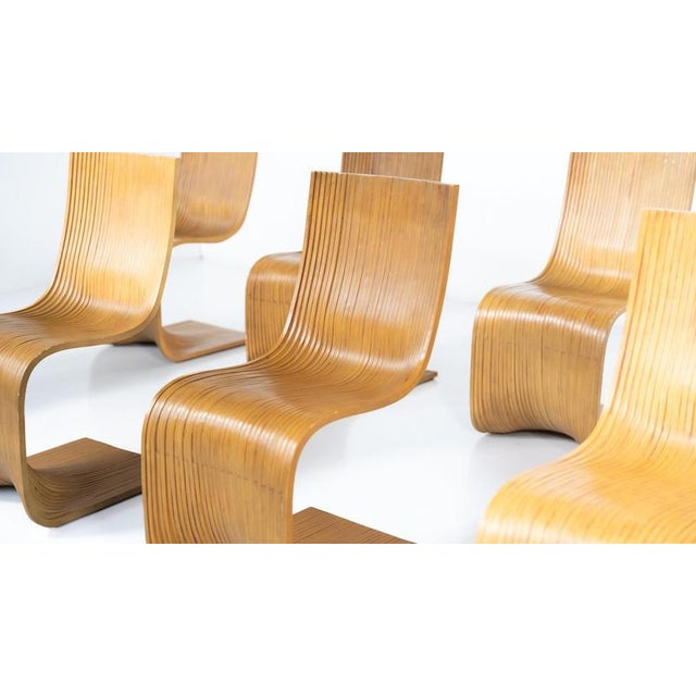 Bamboo Dining Chairs by Alejandro Estrada for Piegatto, 2000s, Set of 8 For Sale - Image 17 of 18