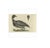Sepp & Nozeman, Brent Goose, 1789, Paper For Sale - Image 4 of 5