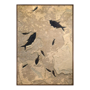Fossil Fish Mural 9005gm