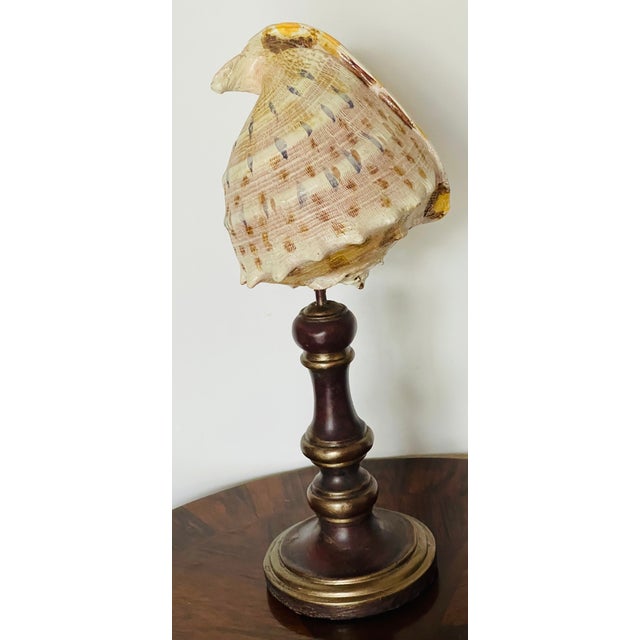 Vintage sea shell sculpture Handpainted on word turned stand.14”.