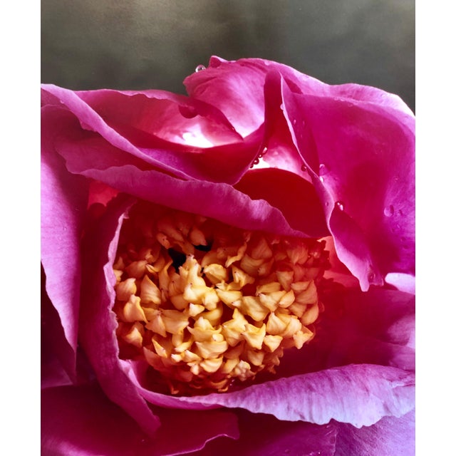 A Bientot, Flower, Photo, The Tappen House, Little Compton, RI (Rhode Island). Hand signed and numbered. small edition of...