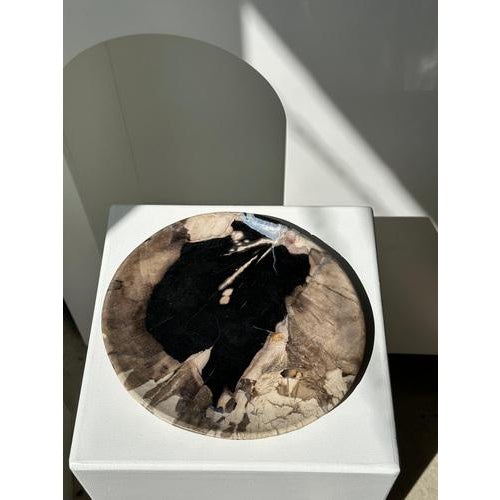 Large Vide-Poche or Dish in Petrified Wood For Sale - Image 14 of 18