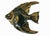Black Mid-Century Ceramic Black & Gold Plaster Aquatic Angelfish Wall Art, Set of 4 For Sale - Image 8 of 9