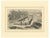 Antique Engraving of the Great Mosque of Mecca with Kaaba, 1850s, Print For Sale - Image 11 of 13