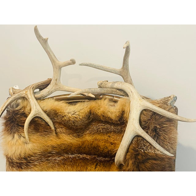 Vintage bamboo armchair with antlers and bull horns, real lush red fox fur.
