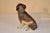 19th Century Austrian Terracotta Dog For Sale - Image 4 of 9