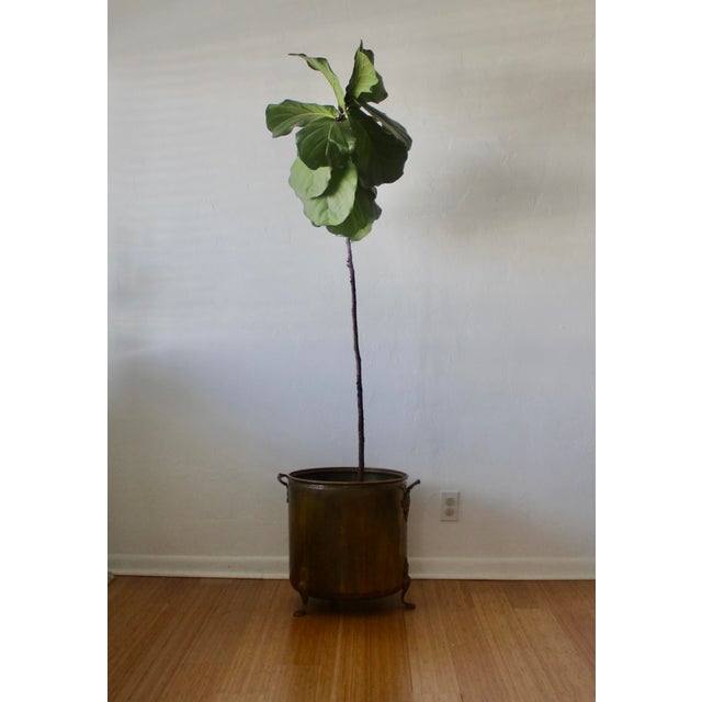 Extra Large English Style Brass Hammered Paw Footed Planter With Ornate Handles Vintage Mid Century For Sale - Image 18 of 18