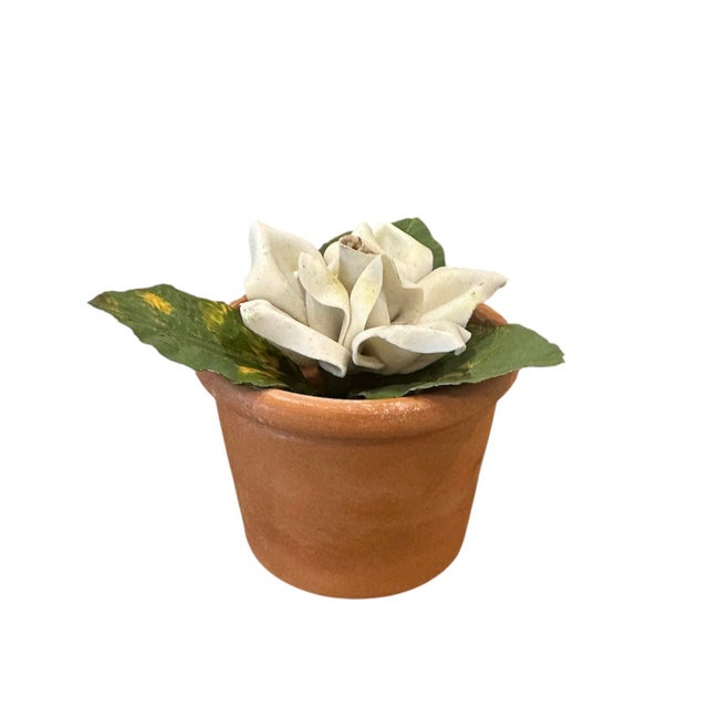 English Vintage Petite Potted French Porcelain Bisque & Tole White Rose Flower / Floral Arrangement in Terracotta Pot For Sale - Image 3 of 7