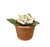 English Vintage Petite Potted French Porcelain Bisque & Tole White Rose Flower / Floral Arrangement in Terracotta Pot For Sale - Image 3 of 7