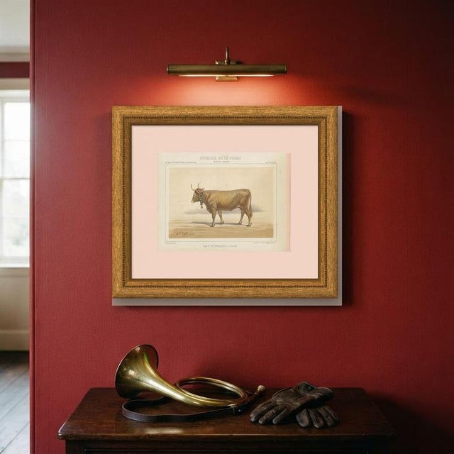 Paper Charles Olivier de Penne, Béarnaise Cow with Bell Collar, French Cattle, 1863, Chromolithograph For Sale - Image 7 of 9