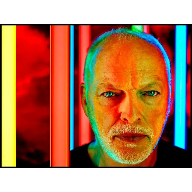 David Gilmour By Kevin Westenberg David Gilmour. (Photo Kevin Westenberg) All prints are signed and numbered by the...