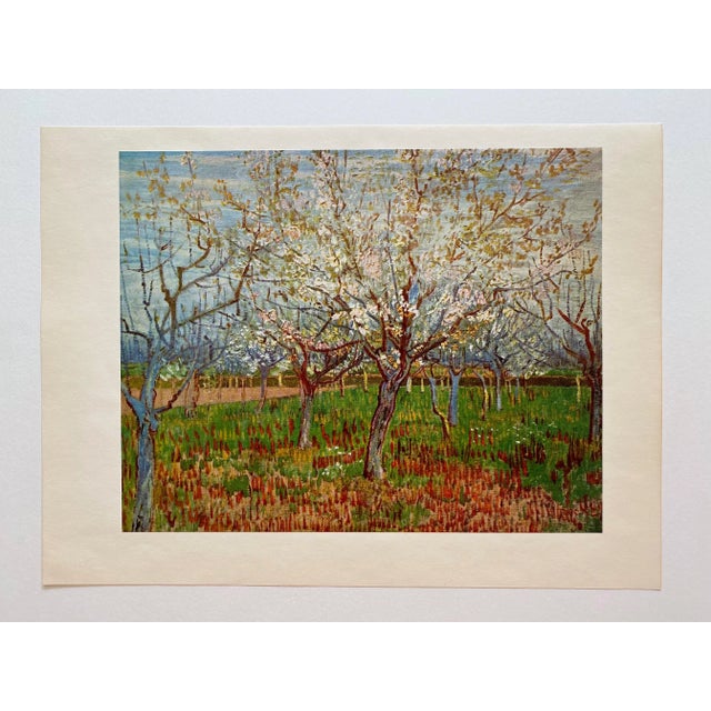 1950s Vincent Van Gogh Vintage 1952 Postimpressionist Lithograph Print " the Orchard " 1888 For Sale - Image 5 of 10