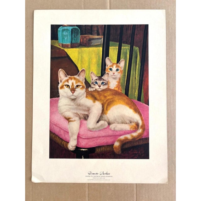 Up for sale is this lovely vintage cat print by Girard Goodenow, published in 1965. This print, one of several of his...