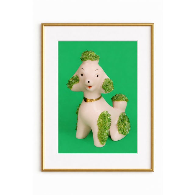 Green Beaded Pink Poodle Contemporary Dog Still Life Photograph 16x20 In For Sale - Image 4 of 4