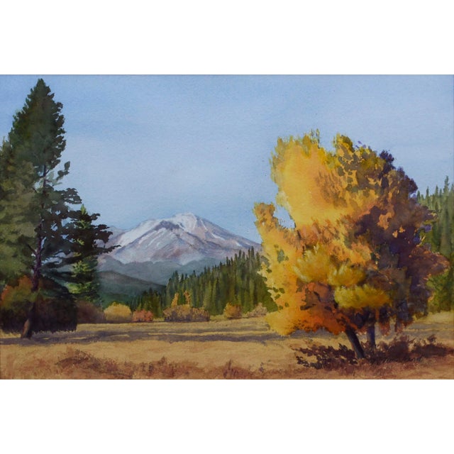 Mount St. Helens, Oregon. Serene mountain landscape of autumn trees in a meadow and distant epic mountain range by Richard...