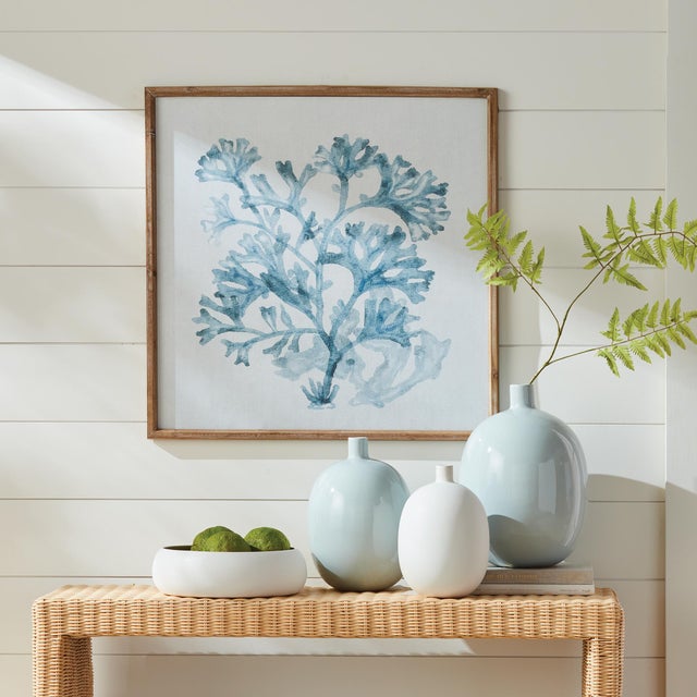 Early 21st Century Translucent Coral Print For Sale - Image 5 of 5