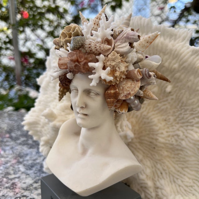 Stone Small Christa's South Seashell Bust of Hermes Encrusted With Seashells For Sale - Image 7 of 10