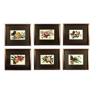 China Trade Pith Paper Paintings of Fruit and Butterflies, a Set of Six For Sale